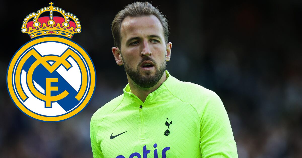 Carlo Ancelotti demands Real Madrid sign £100m Harry Kane amid Karim Benzema confusion