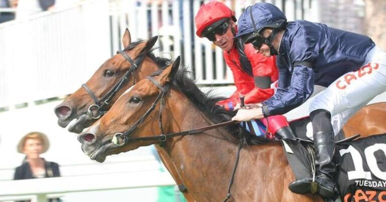 Live Horse Racing Streaming