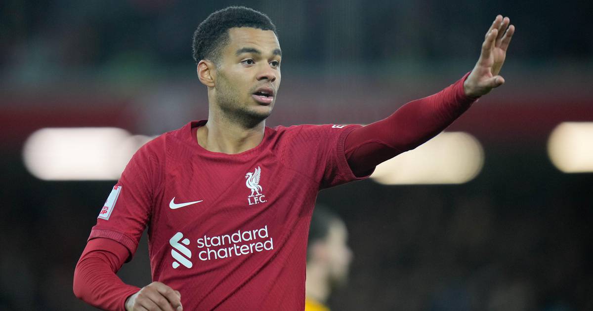 Michael Owen uses Lionel Messi to defend Cody Gakpo’s Liverpool form