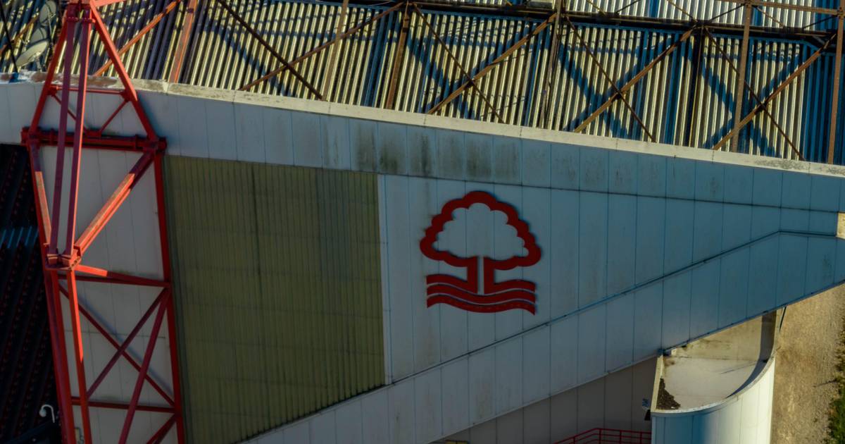 Nottingham Forest ‘on verge’ of landing Newcastle midfielder