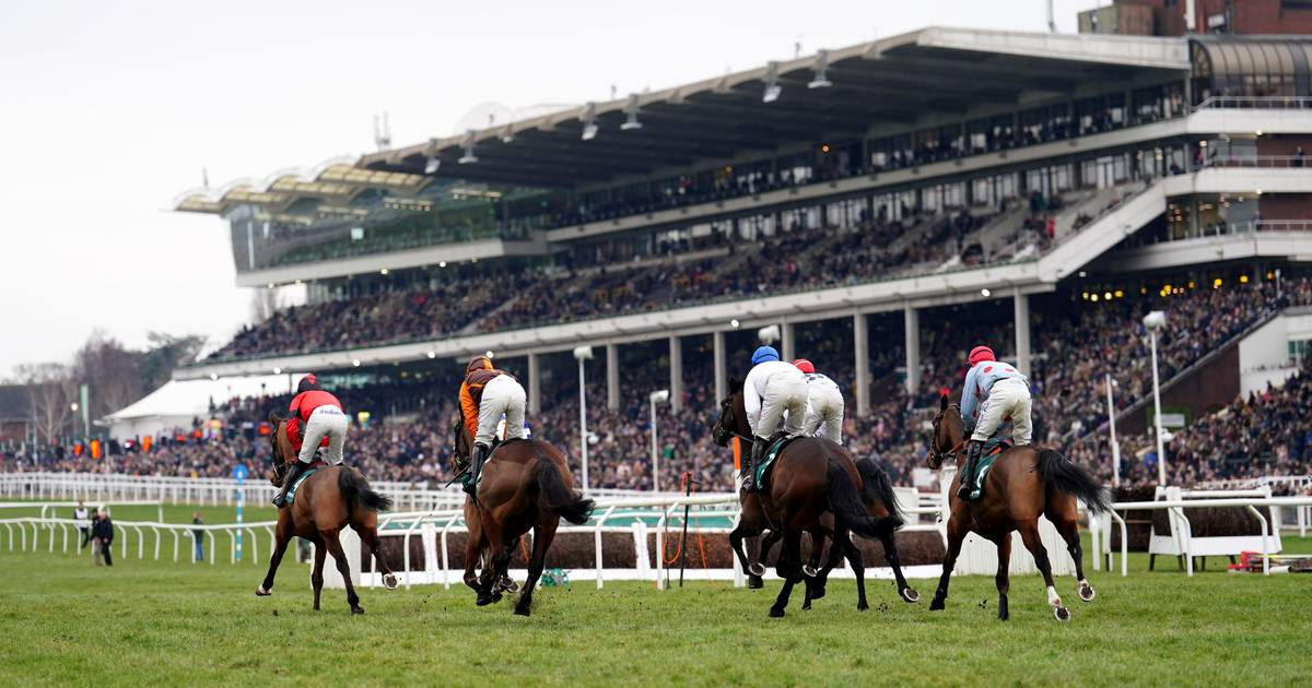 Cheltenham Lucky 15 Tips for Day Two