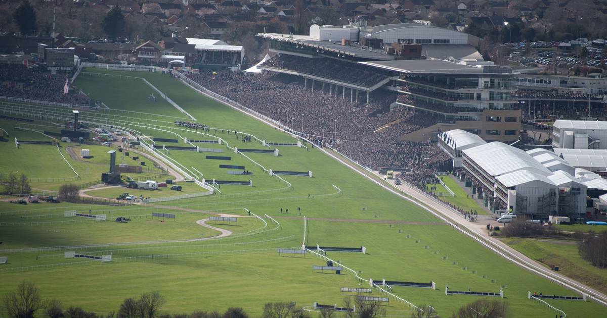 Champion Hurdle Offers & Free Bets: Cheltenham Festival 2024