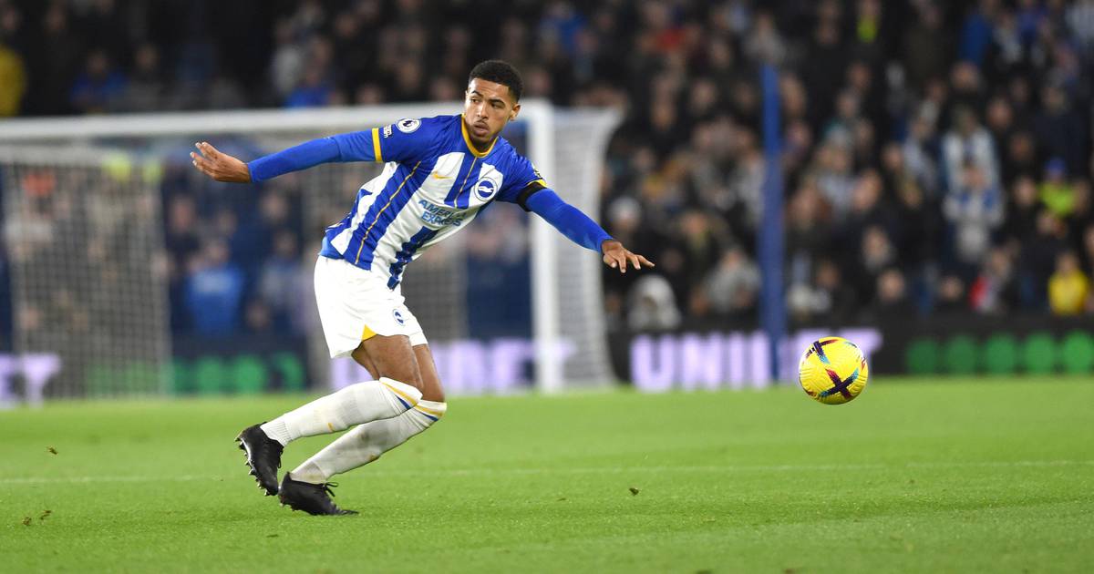 ‘I’ve seen enough – Chelsea fans in collective Levi Colwill praise during Brighton’s clash with Arsenal