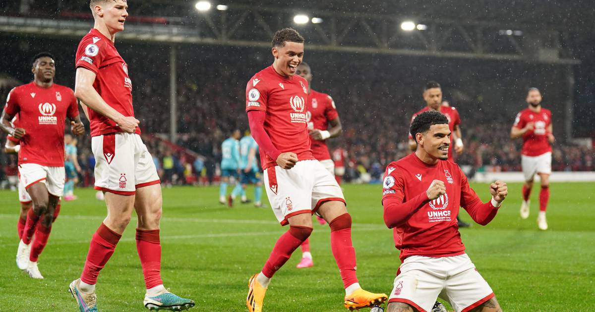 Nottingham Forest Premier League season review