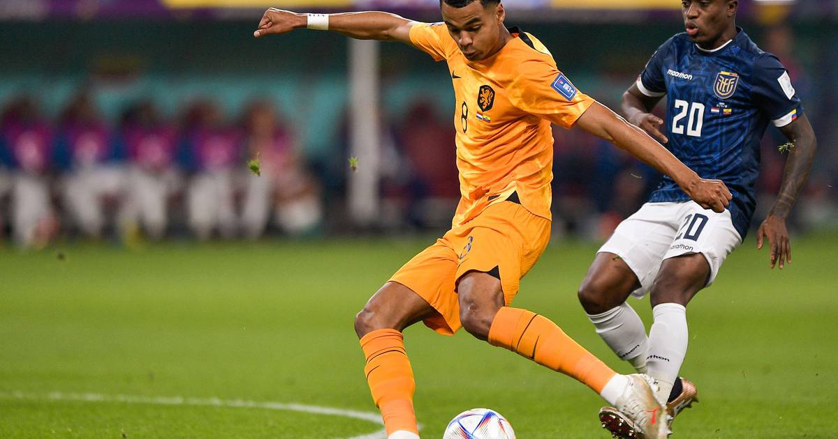 Progress expected in the future of Netherlands star Cody Gakpo as top European sides to open discussions with representation