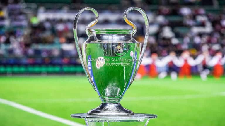 Champions League 2024: Vinicius Jnr named player of the season