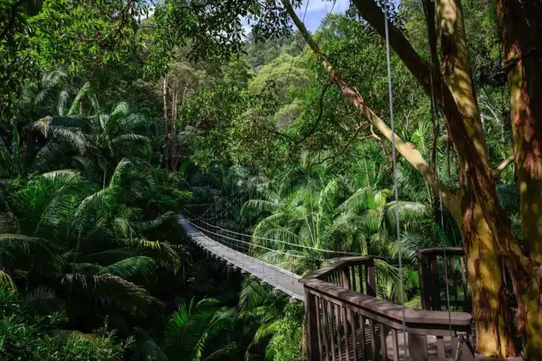 I’m a Celebrity Odds and Betting Offers, Danny Jones Favourite to Win