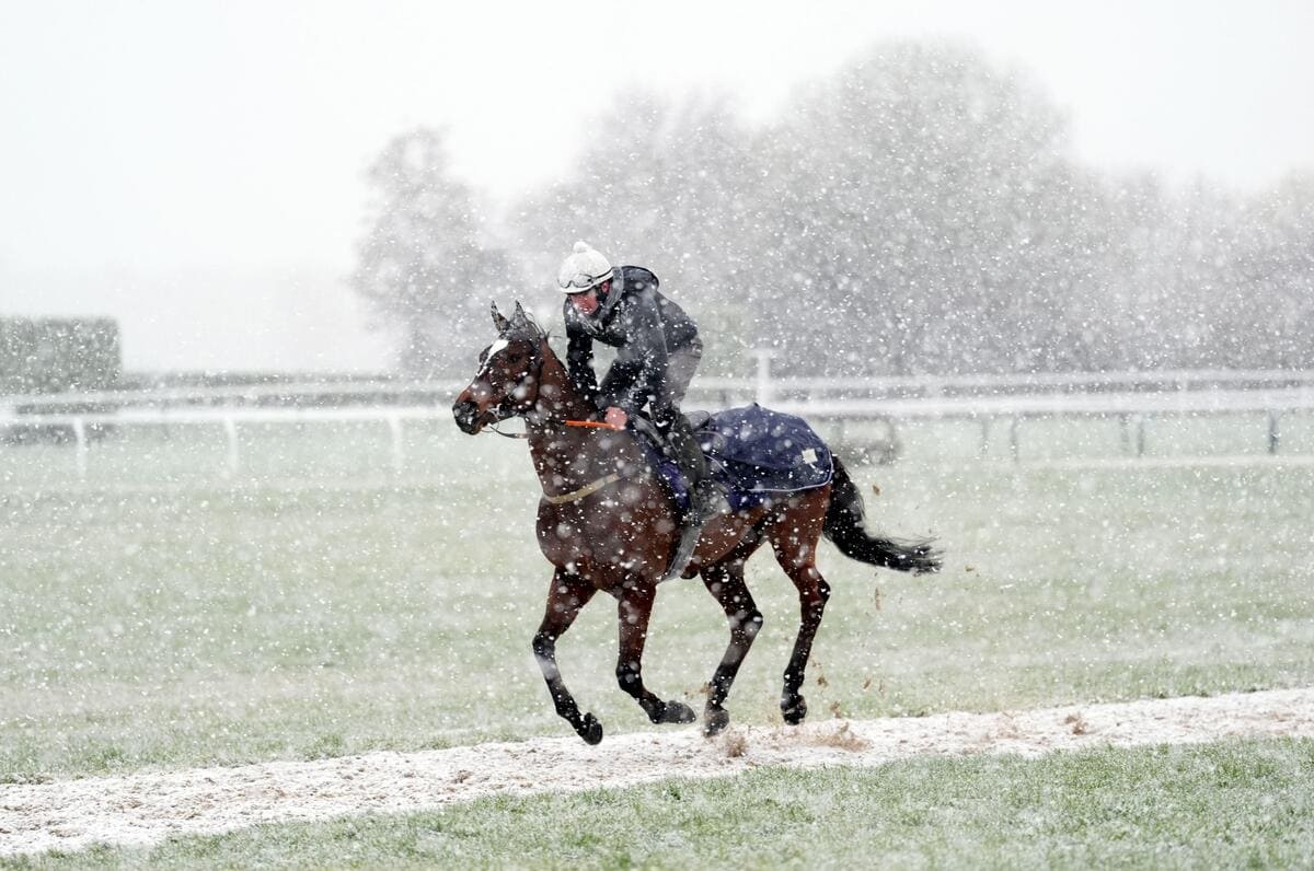 Cheltenham covered in snow as day two of the Festival gets off to a wintery start