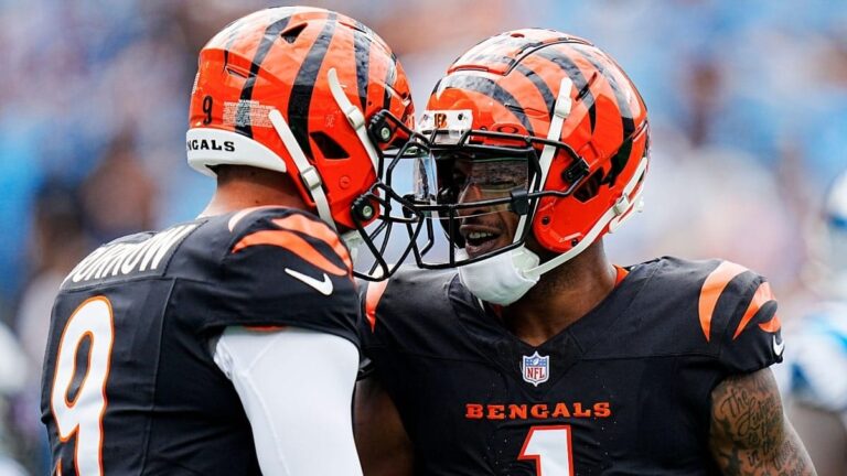 NFL round-up: Bengals, Texans, Vikings win but Jets and Eagles lose