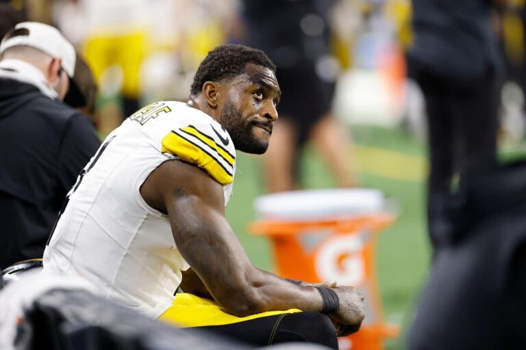 DK Metcalf: NFL to rule on fan altercation as Pittsburgh Steelers WR lashes out