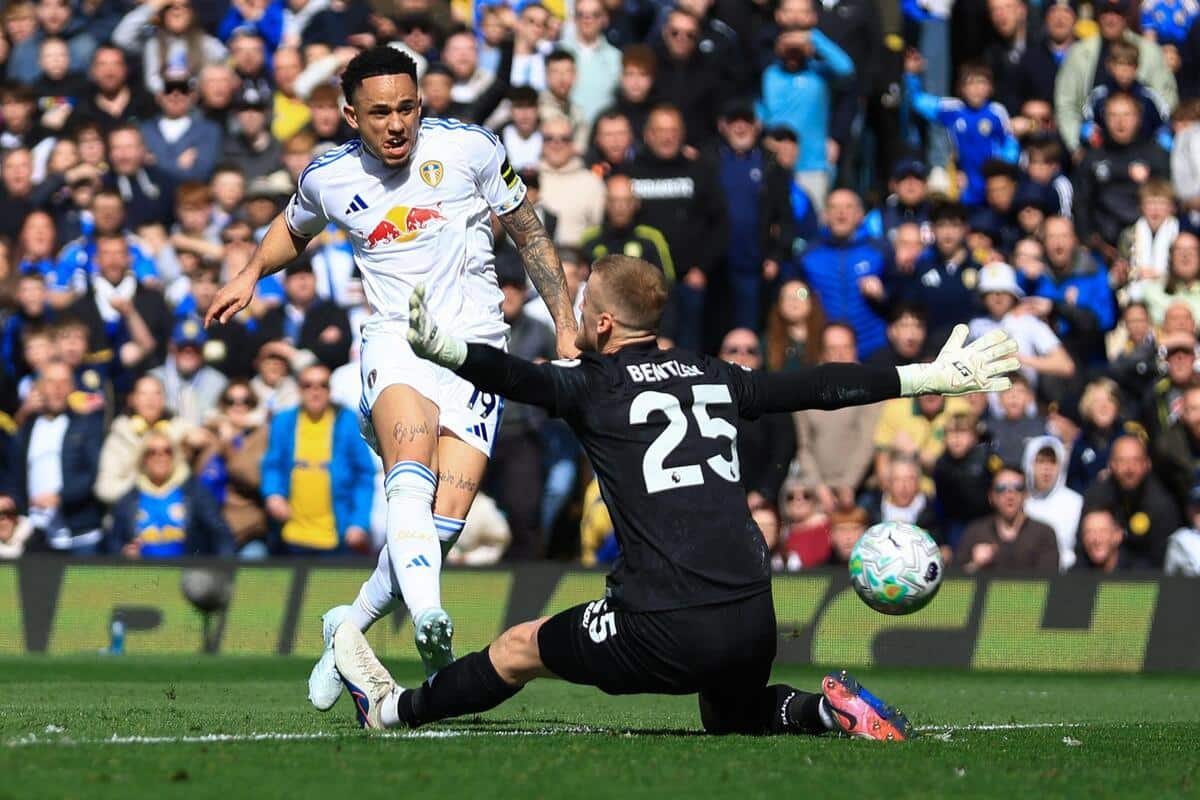 Premier League: Wolves close to drop after Leeds loss as Newcastle lose again