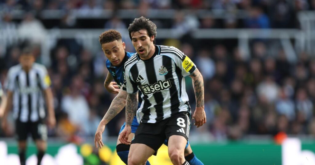 Tottenham midfielder Sandro Tonali