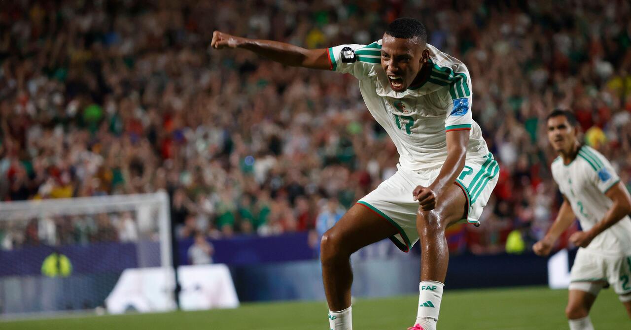 ‘It was a little crazy’ – Austria and Algeria through after stoppage-time madness