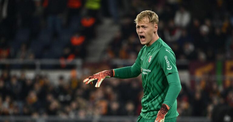 Newcastle make first signing of post-Howe era by snapping up Hornicek