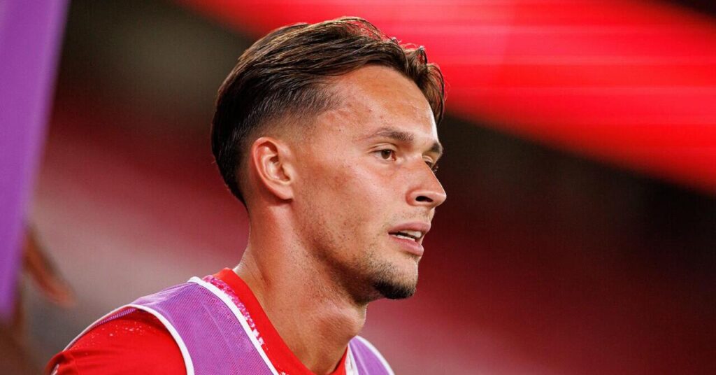 Newcastle full-back Amar Dedic